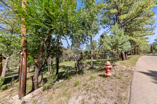 217 Swallow Dr, Ruidoso, NM, 88345-9186 | Card Image