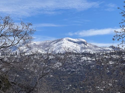 50200 Hogback Rd, Badger, CA, 93603-9745 | Card Image