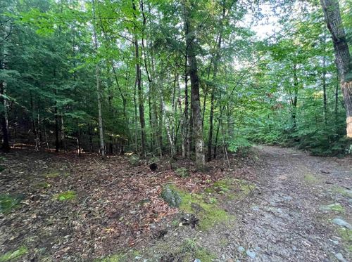 Map 6, Lot 38 Chadwick Hill Road, Webster, NH, 03303 | Card Image