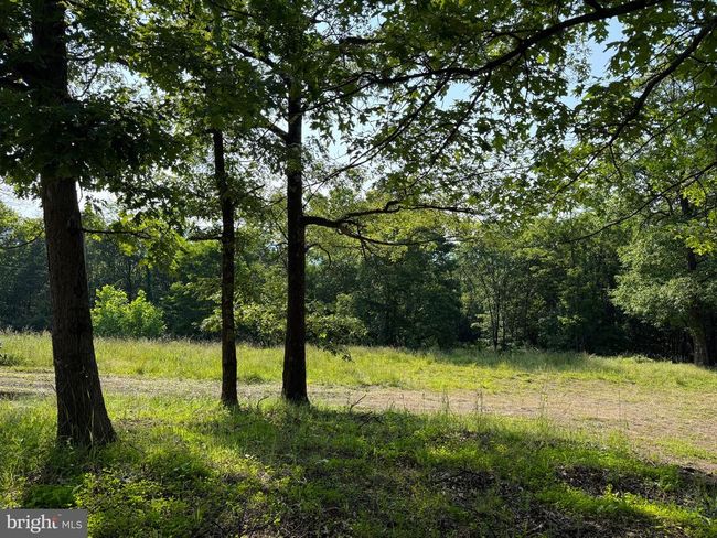 1337 Shanghai Rd, Home with 0 bedrooms, 0 bathrooms and null parking in BERKELEY SPRINGS WV | Image 9