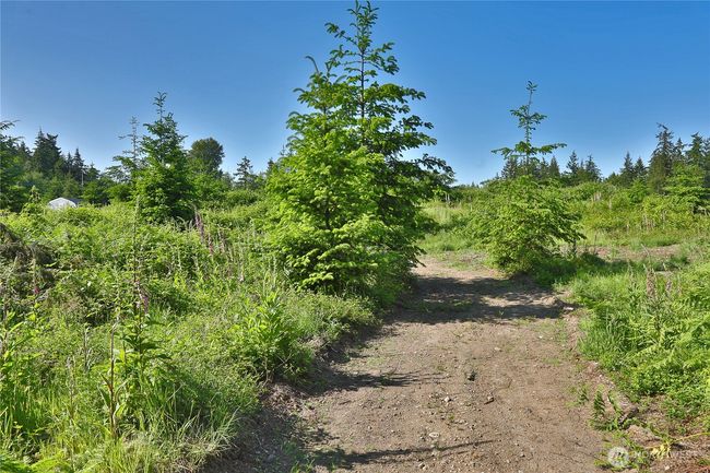 2062 Goodell Rd, Home with 0 bedrooms, 0 bathrooms and null parking in Freeland WA | Image 21