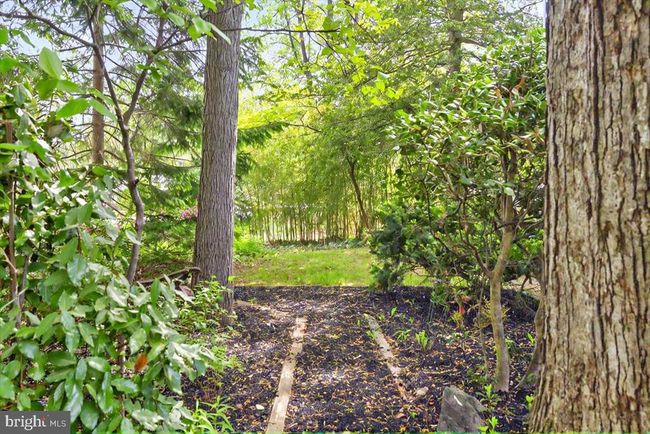8108 Greeley Blvd, House other with 4 bedrooms, 4 bathrooms and null parking in SPRINGFIELD VA | Image 5