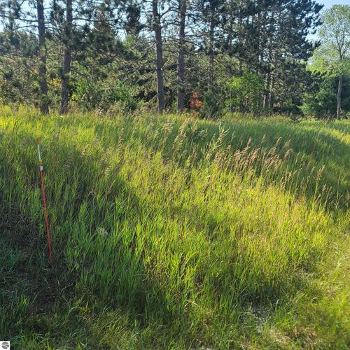 0002 M 66 Se, Fife Lake, MI, 49633 | Card Image