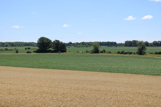 LT15-16 County 1 Road W, Home with 0 bedrooms, 0 bathrooms and null parking in Greater Napanee ON | Image 5