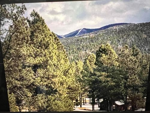 1066A Woodlands Dr, Angel Fire, NM, 87710 | Card Image