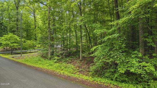 00 Peach Tree Street, Sevierville, TN, 37862 | Card Image