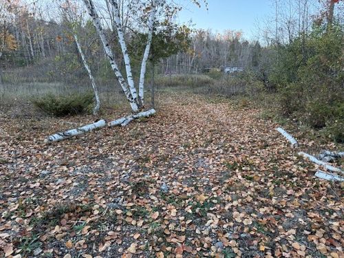 PT LT 20 Fire Route 121, Trent Lakes, ON, K0M1A0 | Card Image