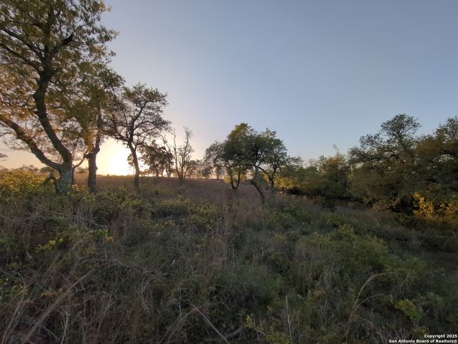 130 Falling Leaves Ct, Home with 0 bedrooms, 0 bathrooms and null parking in Blanco TX | Image 19