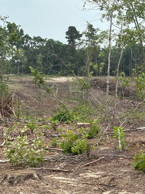 TBD Highway 355 S, Saratoga, AR, 71859 | Card Image