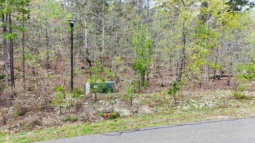 00 Cetrero Way, Hot Springs Village, AR, 71909 | Card Image