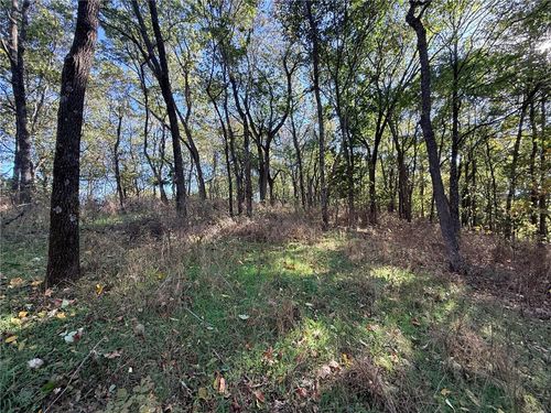 TBD County Road 517, Berryville, AR, 72616 | Card Image