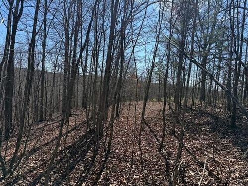 4 South Pittsburg Mountain, South Pittsburg, TN, 37380 | Card Image