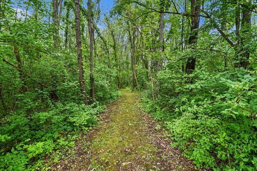 9-lot-V/L Forest Shores Drive, Cassopolis, MI, 49031 | Card Image