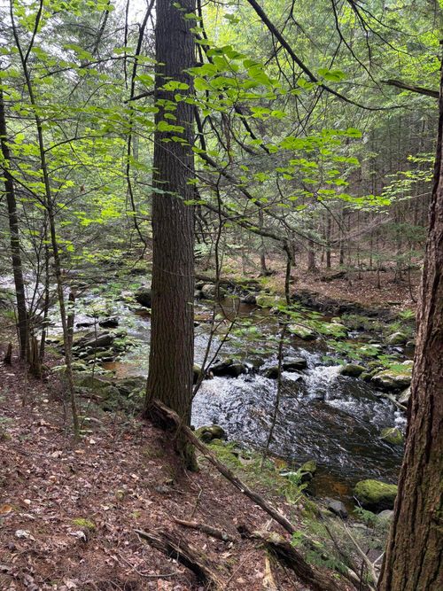 5 Bog Brook Loop, West Paris, ME, 04289-5429 | Card Image