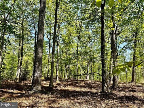 00 Lot 3 Tapps Ford Rd, AMISSVILLE, VA, 20106 | Card Image