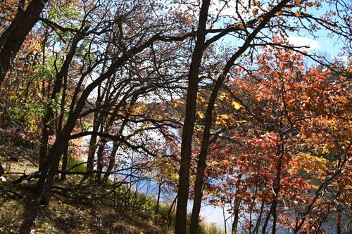 38869 Odin Ct, Browerville, MN, 56438-4568 | Card Image