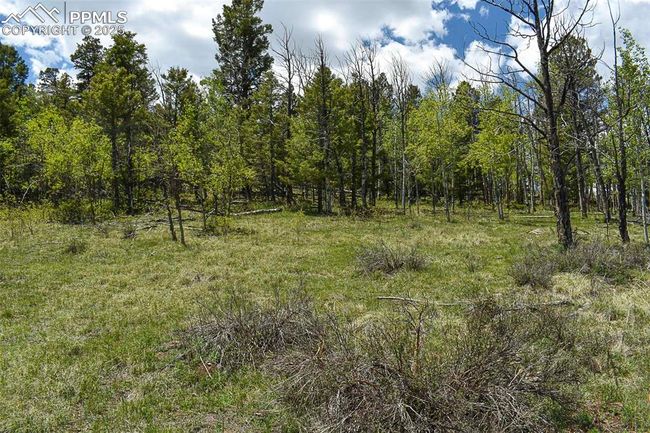 130 Eleven Mile State Park, Home with 0 bedrooms, 0 bathrooms and null parking in Lake George CO | Image 11