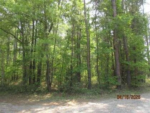0 Old Arrowhead Trl, Huger, SC, 29450 | Card Image