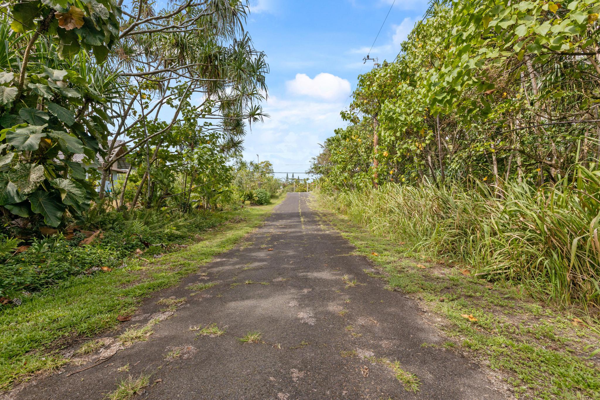 Land in Pahoa 2