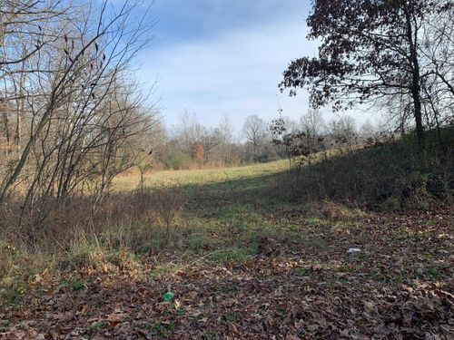 347 Circle Dr, Piggott, AR, 72454 | Card Image