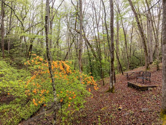 138 Autumn Ln, Home with 4 bedrooms, 3 bathrooms and null parking in Blairsville GA | Image 11