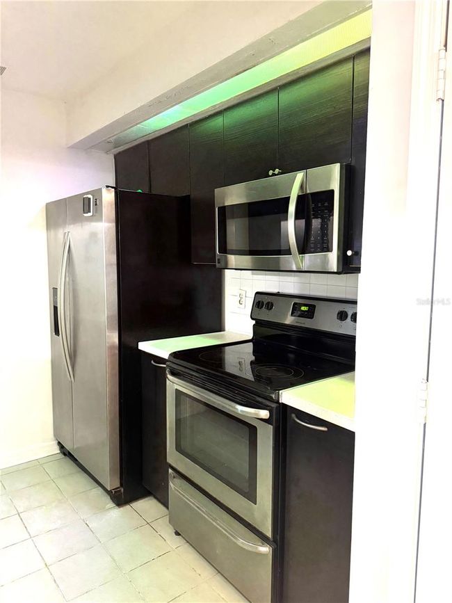 APT-201 - 4207 Winding Moss Trl, Condo with 2 bedrooms, 2 bathrooms and null parking in TAMPA FL | Image 13