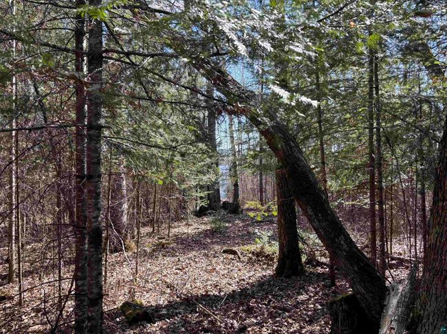 Unit 5 Fernberg Rd, Home with 0 bedrooms, 0 bathrooms and null parking in Ely MN | Image 7