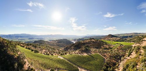 3231 Soda Canyon Rd, Napa, CA, 94558-9459 | Card Image