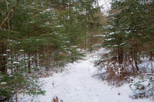 +/-60 Acres County Road Yy, SPIRIT, WI, 54459 | Card Image