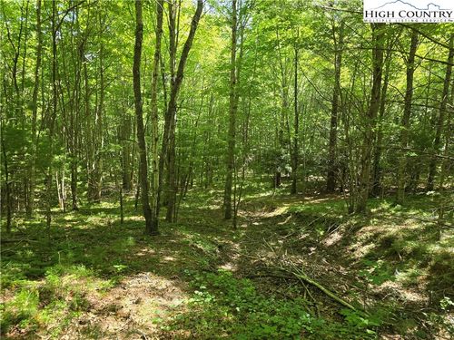 50 Deer Spring Ln/White Tail Trail, West Jefferson, NC, 28694 | Card Image