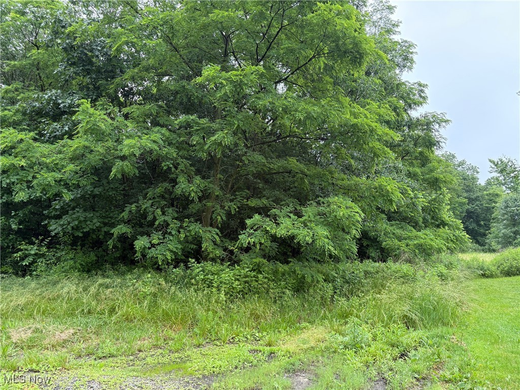Land in Akron 3