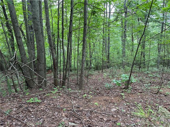 585 Galaxy Way Ne, Home with 0 bedrooms, 0 bathrooms and null parking in Ranger GA | Image 8