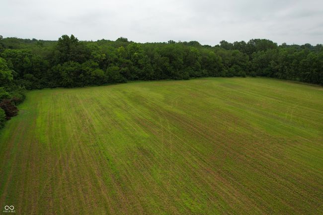 view of green lawn | Image 15