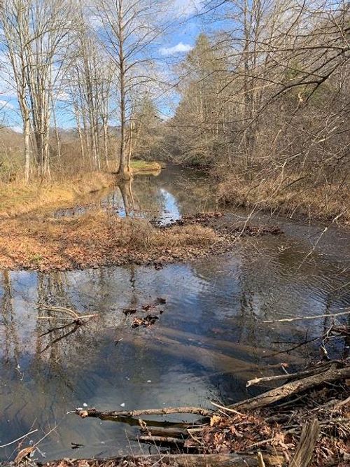 TBD Lick Creek Rd, Ceres, VA, 24318 | Card Image