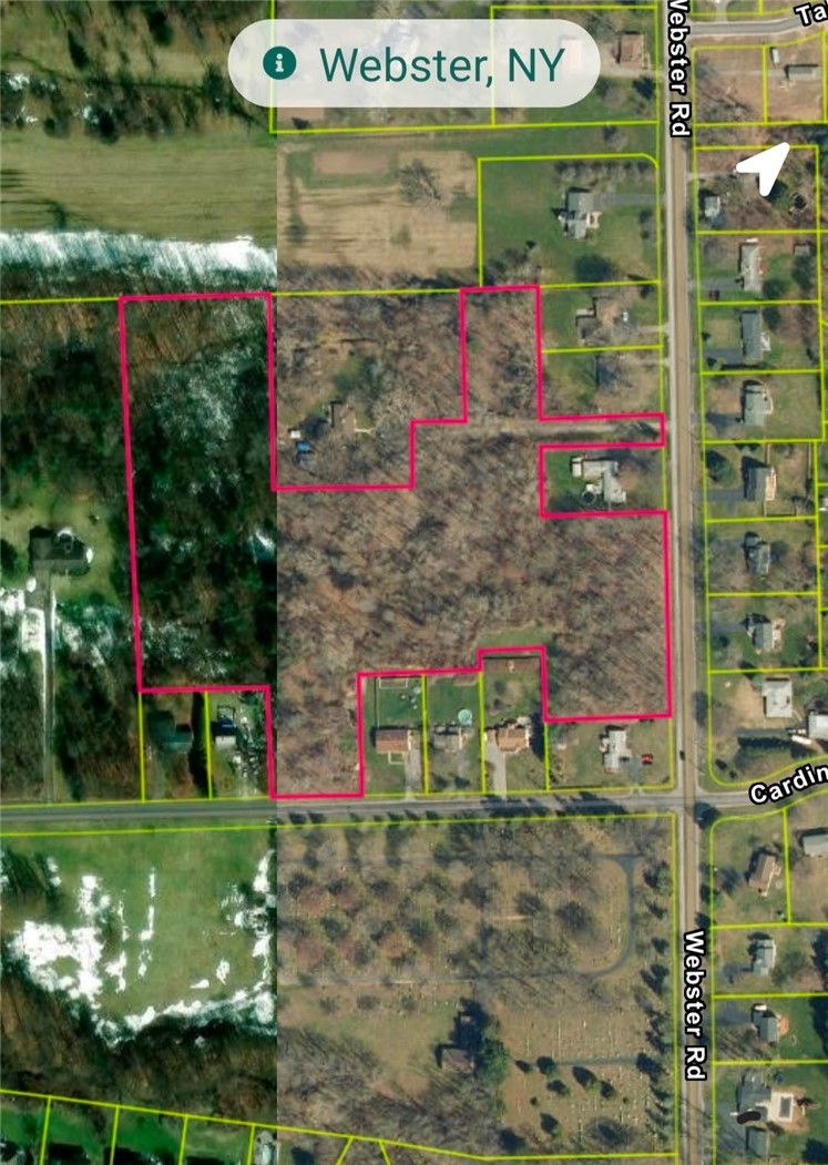 Land in Webster 2