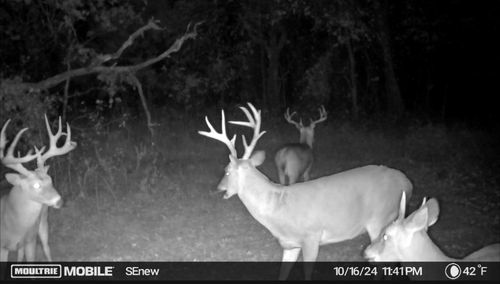 0000 Camelback Road, Elmore City, OK, 73433 | Card Image