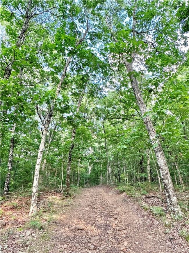 11 Slaty Gap Road, Home with 0 bedrooms, 0 bathrooms and null parking in West Fork AR | Image 16