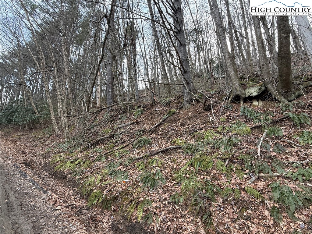Land in West Jefferson