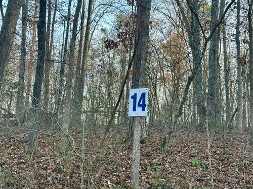 Lot 14 Hensley Rd, East Bernstadt, KY, 40729-7001 | Card Image