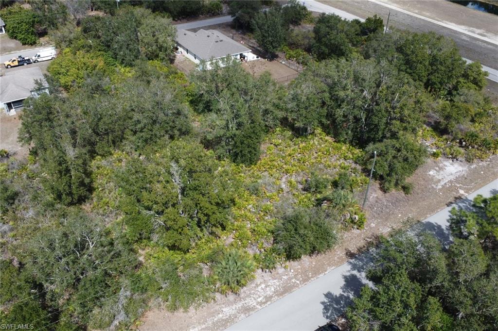 Land in LEHIGH ACRES 3