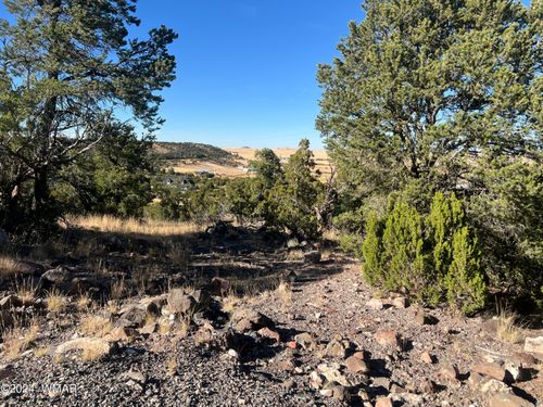 TBD S Skyline Dr, Eagar, AZ, 85925 | Card Image