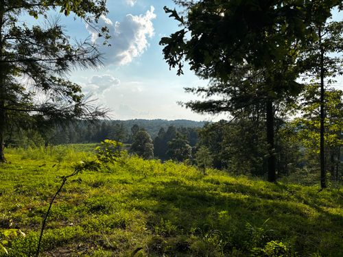 9 Victory Falls Development, Campton, KY, 41301 | Card Image