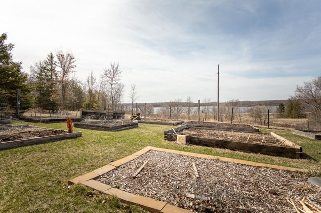 Raised beds | Image 63