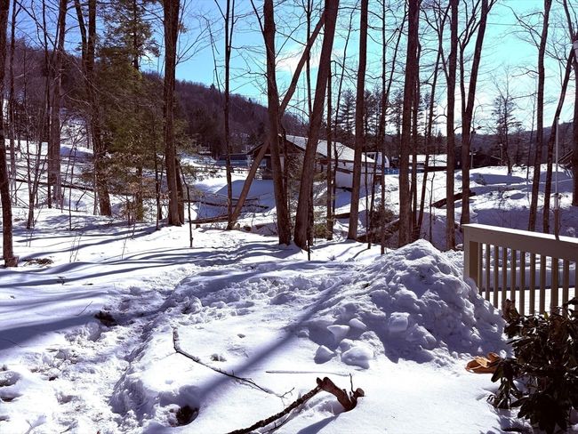 4 - 60 S River Rd, Condo with 2 bedrooms, 2 bathrooms and 4 parking in Charlemont MA | Image 22