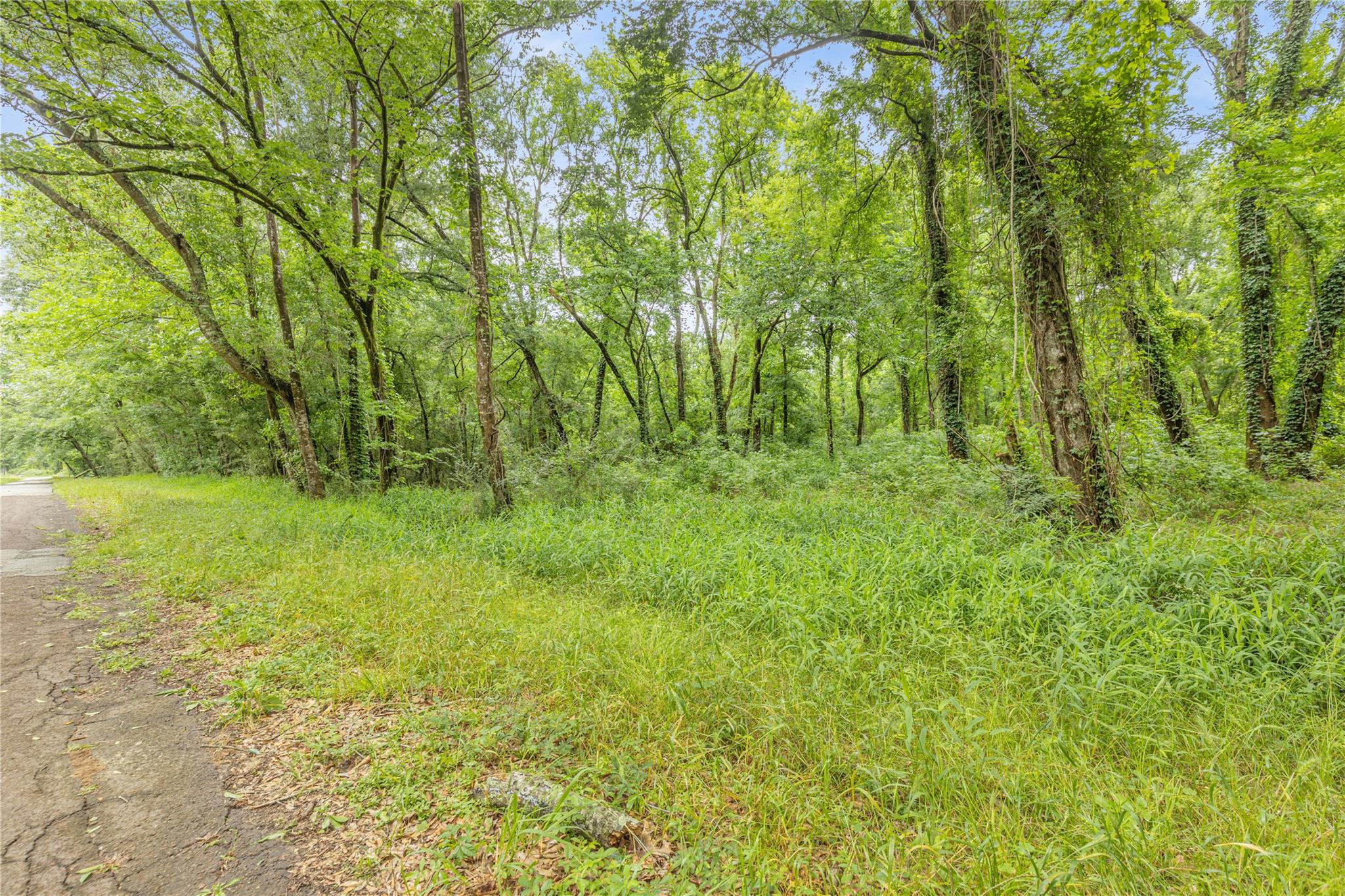 Land in Conroe 4