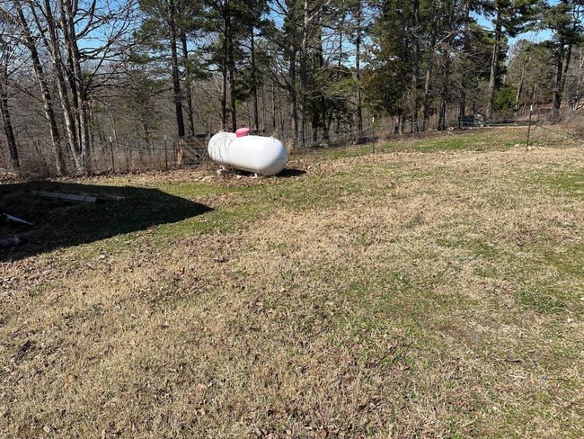 231 Jones Rd, House other with 4 bedrooms, 2 bathrooms and null parking in Yellville AR | Image 22