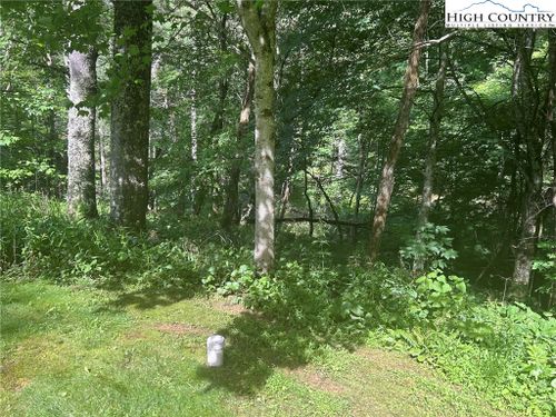 TBD Carefree Cove Road, Zionville, NC, 28698 | Card Image