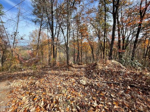 33 Sugar Mountain Way, Pigeon Forge, TN, 37863-4735 | Card Image