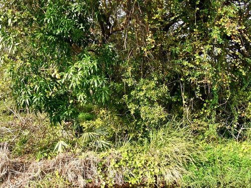 Tbd N 37th St, Fort Pierce, FL, 34947 | Card Image