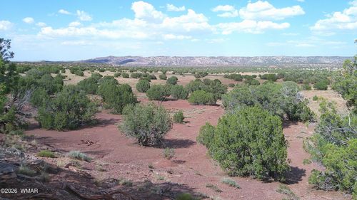 TBD Concho Hwy, Concho, AZ, 85924 | Card Image